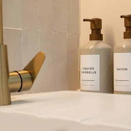 Appartement Duplex Standing Centre - Aux Bleuets *